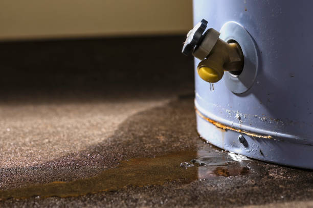 Best Fire Damage Restoration  in Socastee, SC