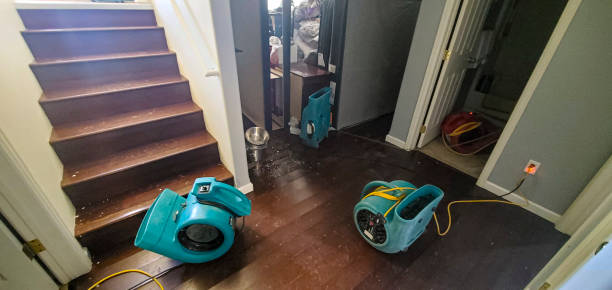 Best Local water damage restoration  in Socastee, SC