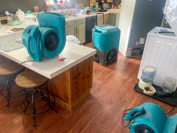 Best Water damage mitigation services  in Socastee, SC