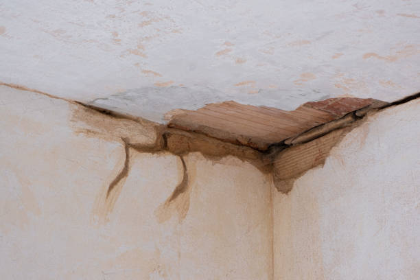 Best Water damage restoration near me  in Socastee, SC