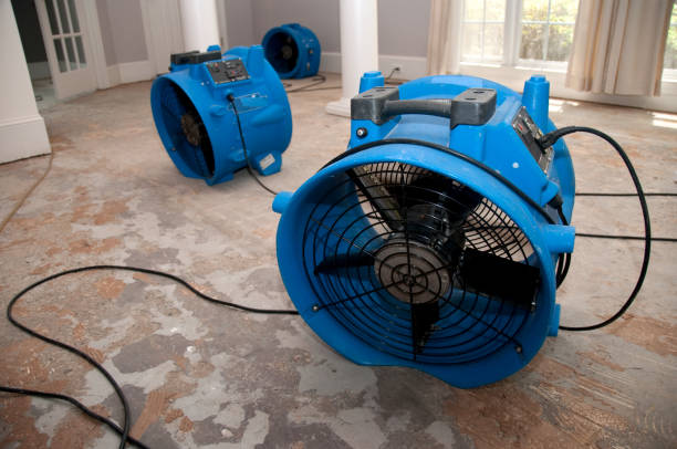 Best Local water damage restoration  in Socastee, SC