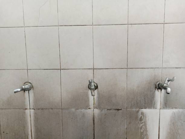 Best Emergency water damage restoration  in Socastee, SC
