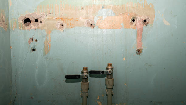 Best Residential water damage restoration  in Socastee, SC