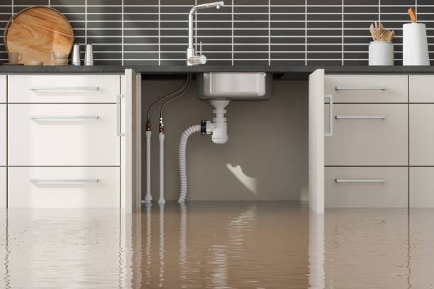 Best Flood restoration services  in Socastee, SC