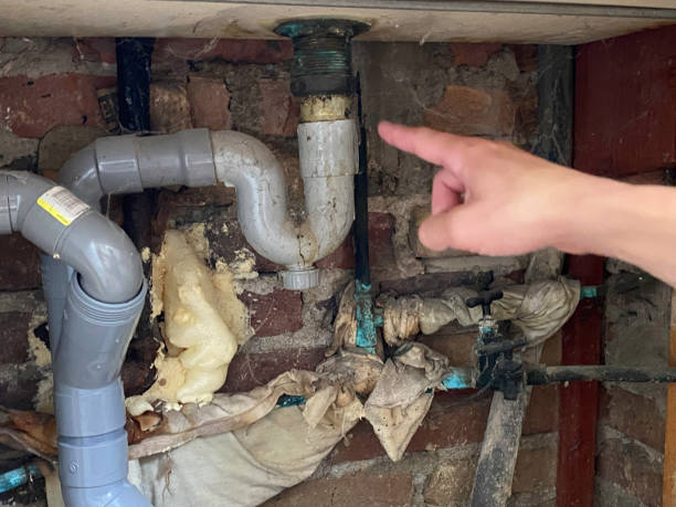 Best Water damage restoration mold remediation  in Socastee, SC